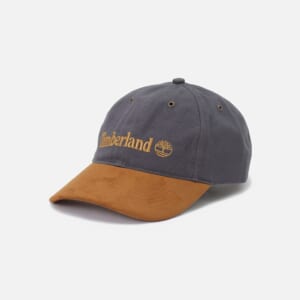 アーカイブ ベースボール キャップ